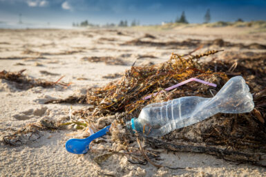Plastic bottle rubbish on a beach