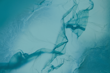 inside the plastic bag
