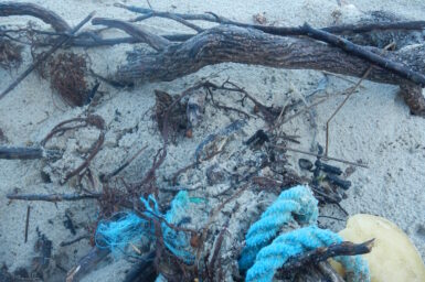 plastic rope entangled in driftwood on beach